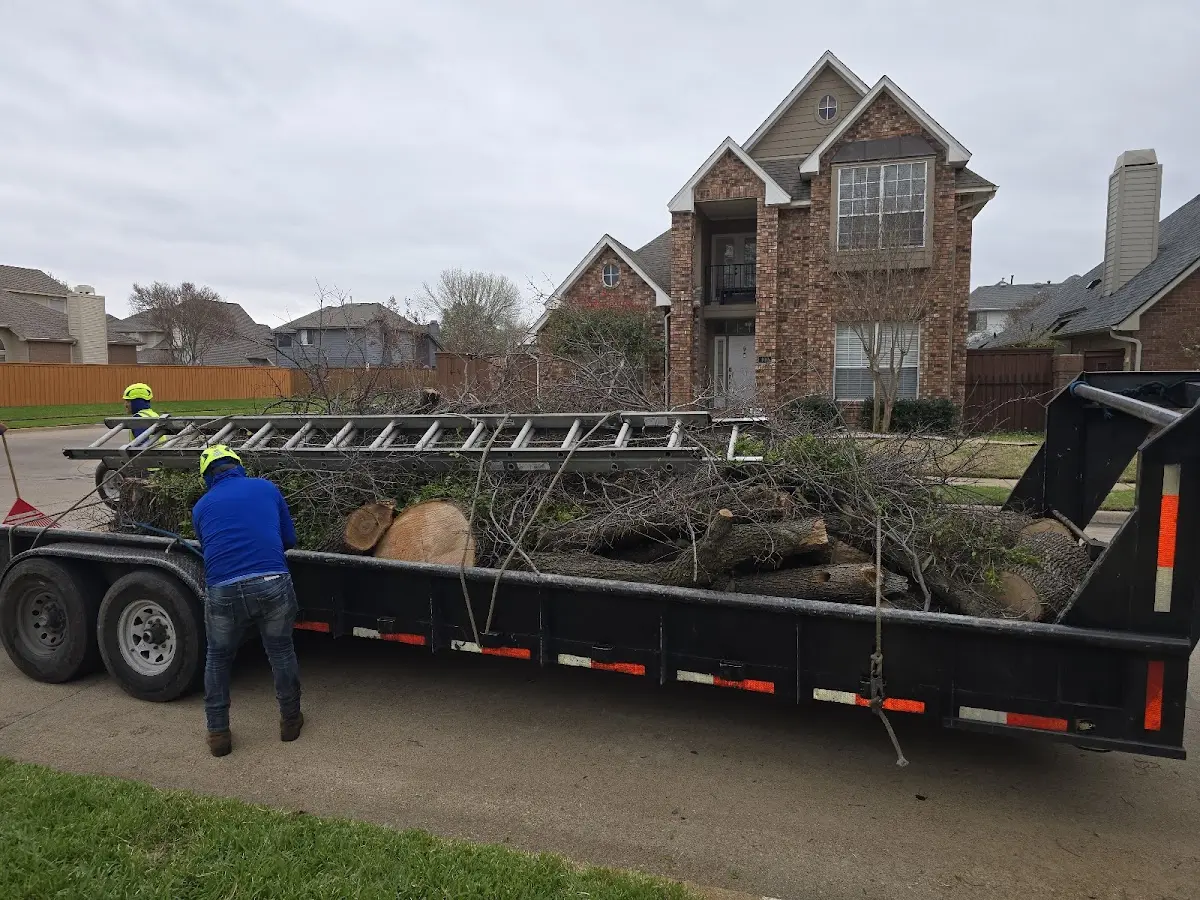 Expert Tree Pest Control with proper safety equipment in Blue Creek